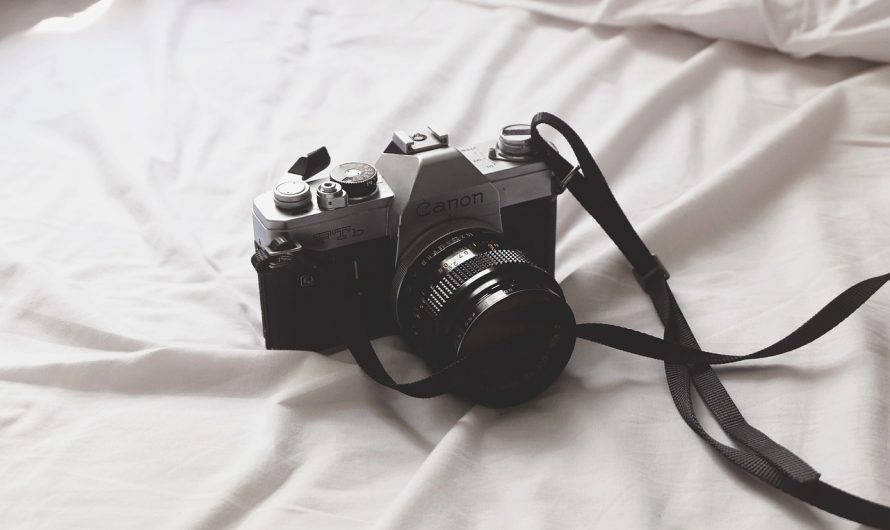 Lets Get Digital: SLR Photography Basics